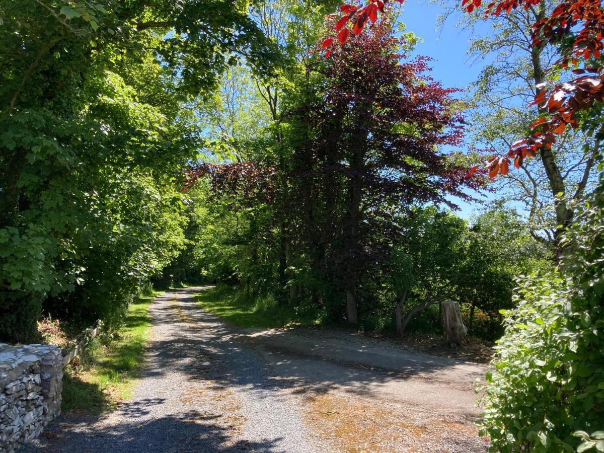 Garlieston Old Station House - Kilfillan Cottage מראה חיצוני תמונה